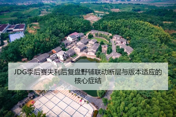 JDG季后赛失利后复盘野辅联动断层与版本适应的核心症结